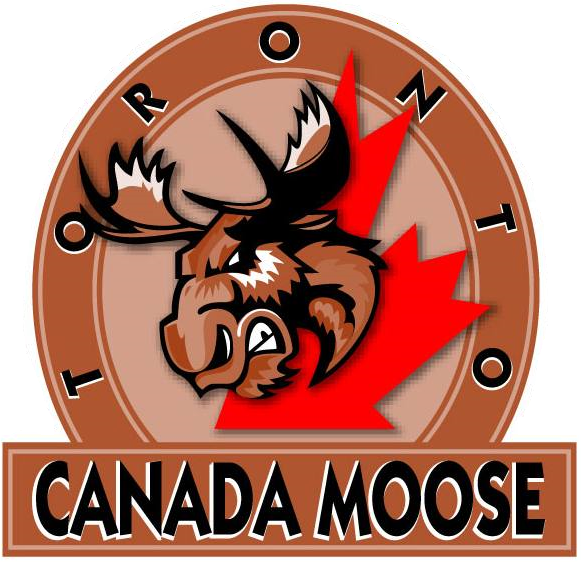 Toronto Canada Moose 2006-2013 Primary Logo iron on heat transfer